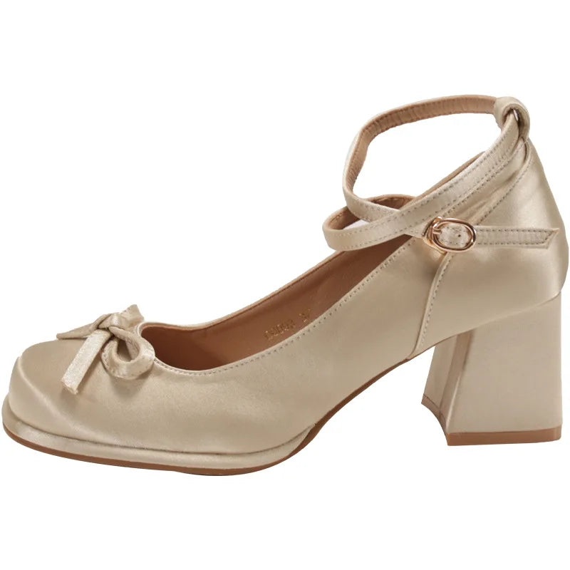 Women's Shoes Buckle Strap Women's High Heels 2025 New Autumn Fashion Butterfly-knot Dress Pumps Women Shallow Mary Jane Shoes